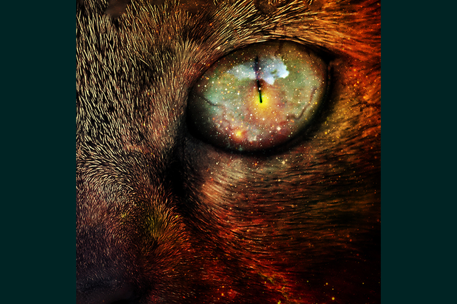 Cat's eye 2